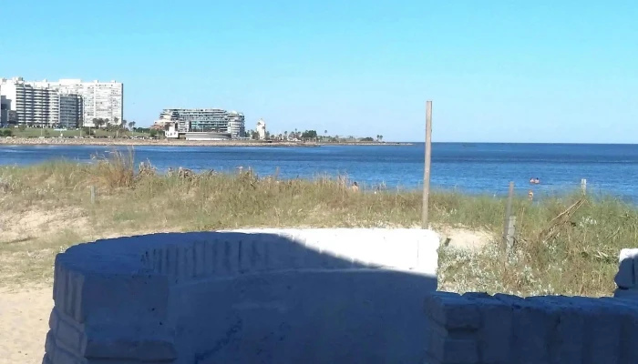 Thelma Parador -  Comentario 2 - Montevideo