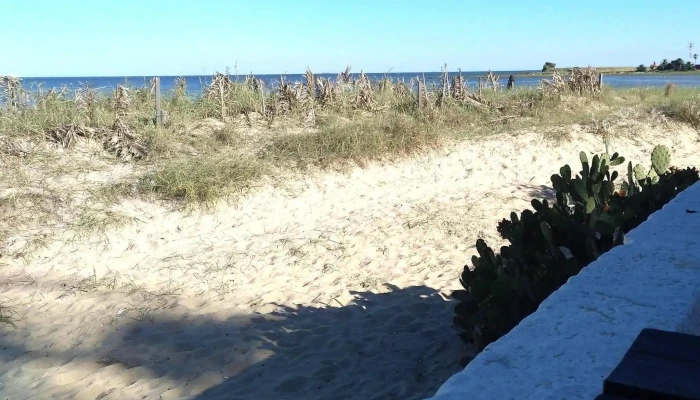 Thelma Parador -  Comentario 3 - Montevideo