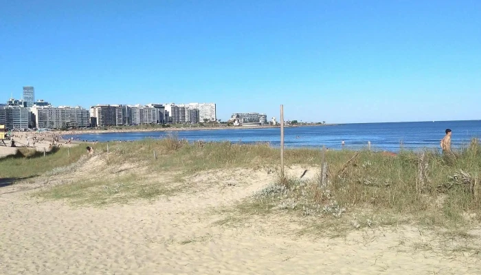 Thelma Parador -  Comentario 4 - Montevideo