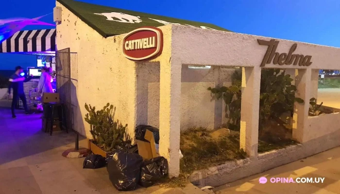 Thelma Parador -  Todo - Montevideo