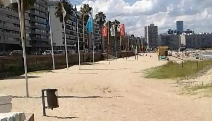 Thelma Parador -  Videos - Montevideo