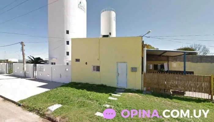 Ticomar-coche escuela - Libertad