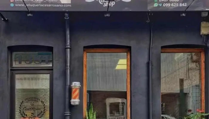 Tiempo Y Tiempo -  Interior - Montevideo