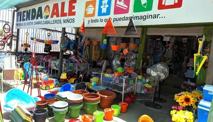 Tienda Ale - 13000 Montevideo