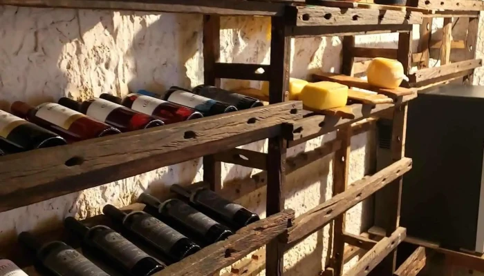 Tienda de comidas regionales - 70000 Col. Del Sacramento