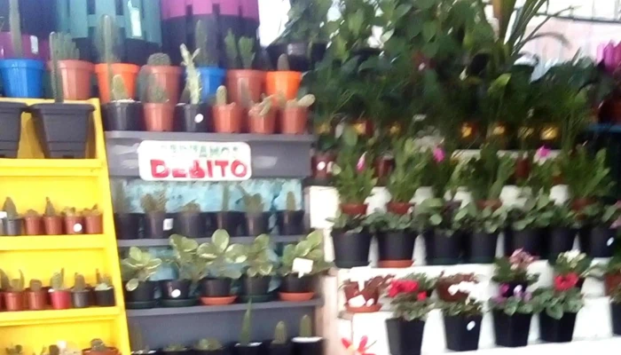 Tienda De Regalos Buceo -  Catalogo - Montevideo