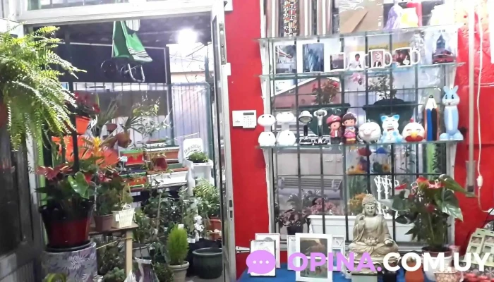 Tienda De Regalos Buceo -  Interior - Montevideo