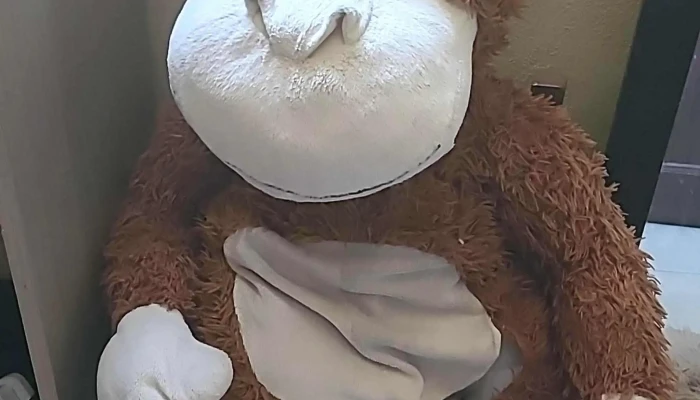 Tienda Nifuri - Las Piedras