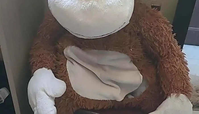 Tienda Nifuri -  Promocion - Las Piedras