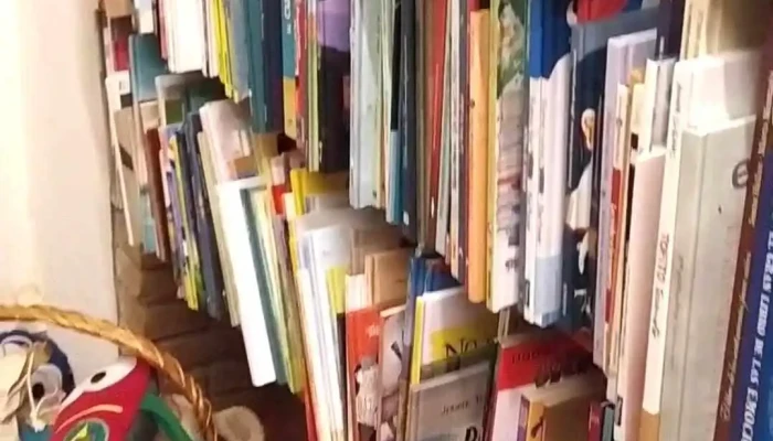 Tiendaminico Videos - Mercedes