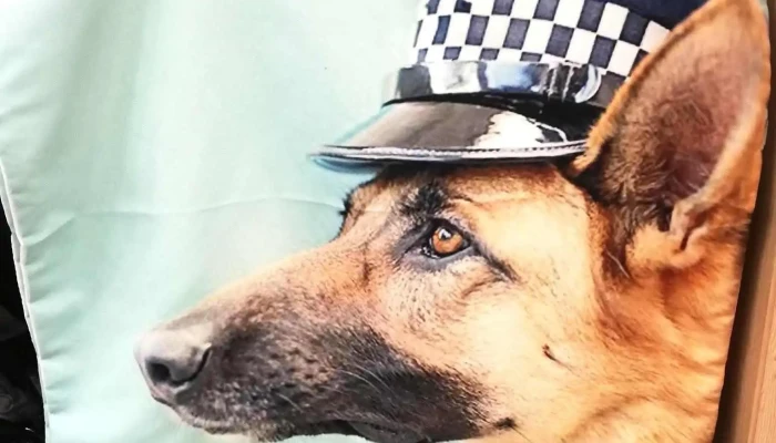 Tiendas Montevideo -    Colon Donde - Montevideo