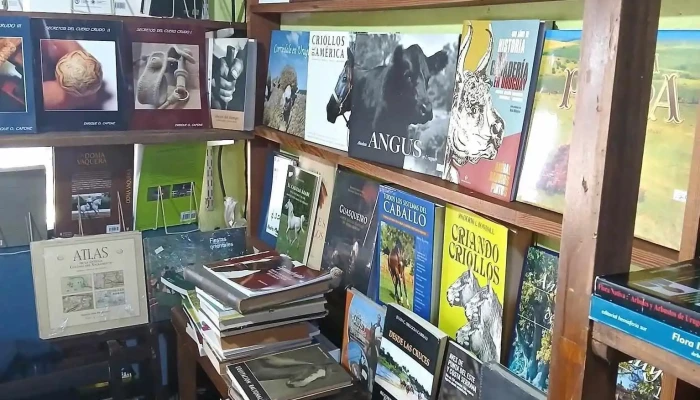 Tinta Y Papel Libros -  Instagram - Atlantida