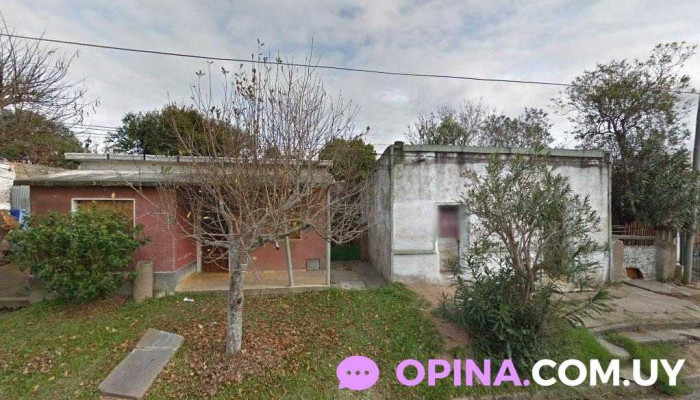 Tío Nico barber shop - 33000 Treinta Y Tres