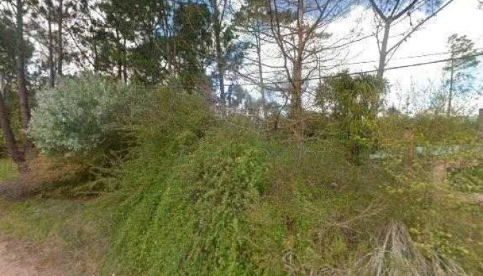 Todo Casero -  Street View Y 360 - Piriápolis