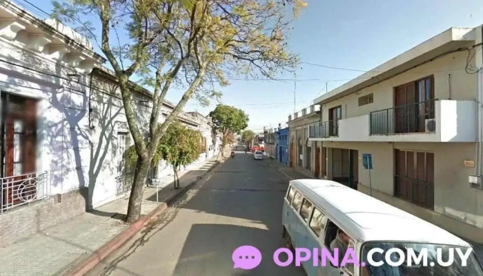 Todo Terrenos Propiedades - Salto