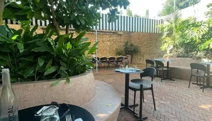 Toledo Bar De Tapas -  Todas - Montevideo