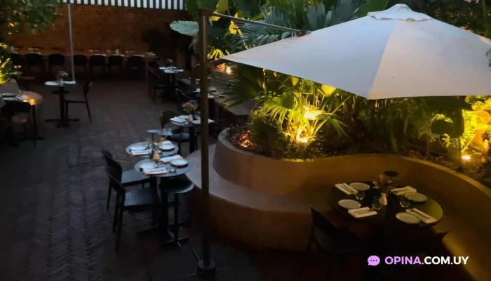 Toledo Bar De Tapas -  Videos - Montevideo