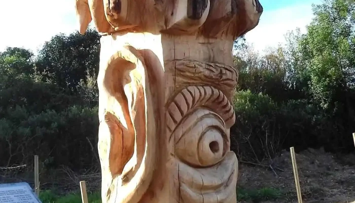 Toledo -  Todo - Toledo