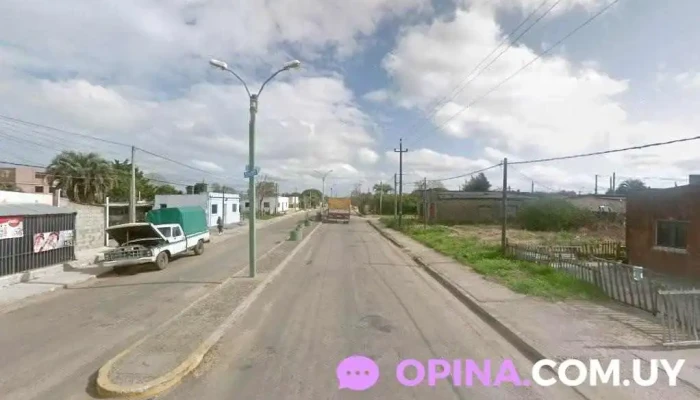 Tomás Marsiscano - Rocha