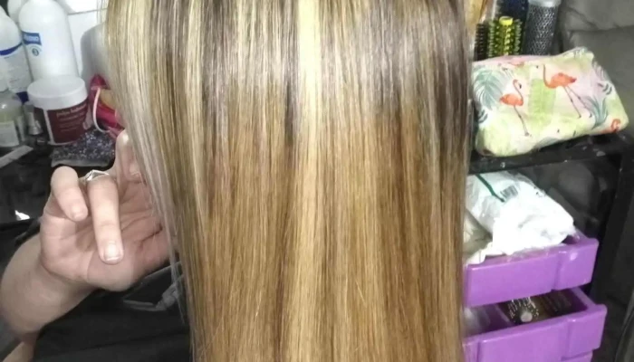 Tonalidades peluquera - Angel Zanelli