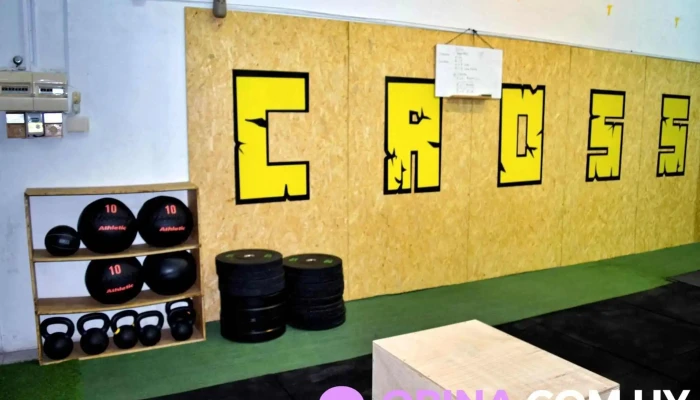 Top Training Tt -  Del Propietario - Rivera