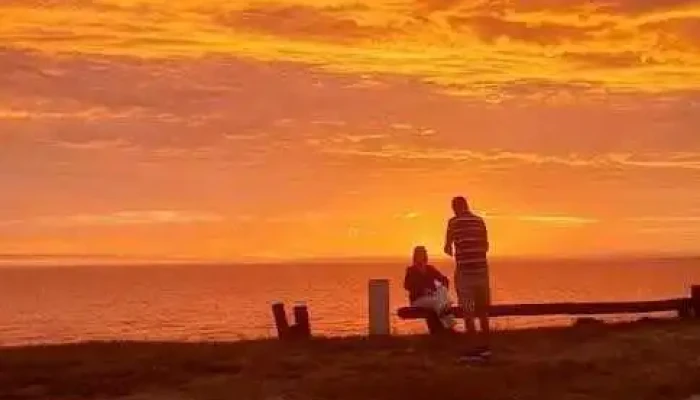 Torta Fritas El Bacan -  Todas - Atlántida