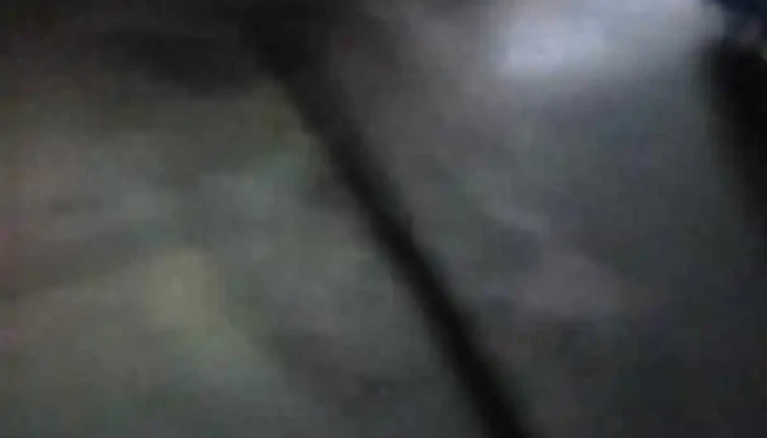 Tortas Fritas De La Rambla -  Videos - La Floresta