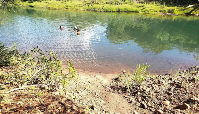 Tranqueras -  Todo - Departamento de Rivera