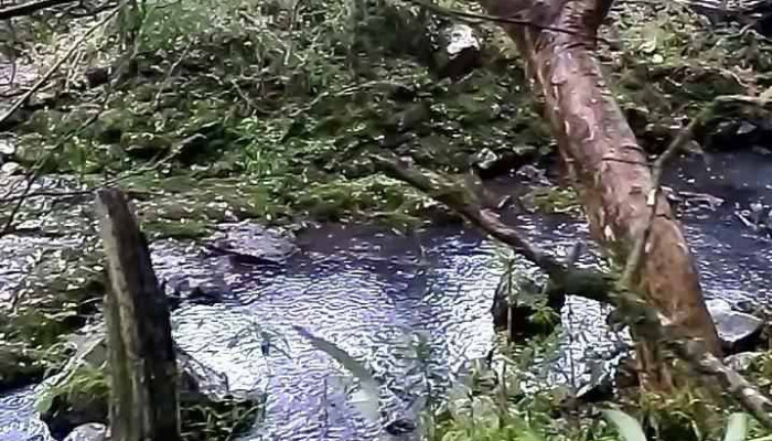 Tranqueras -  Videos - Departamento de Rivera