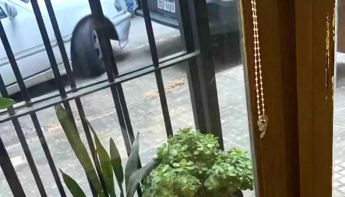 Trebol Cafe Comentario 3 - Montevideo