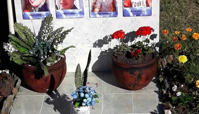 Trick - Ruta 84 Km 1