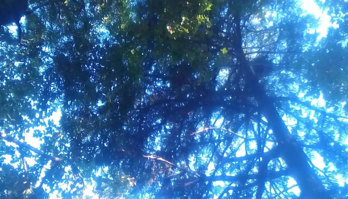 Tudor Coffee Tea Comentario 9 - Montevideo