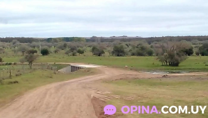 Ues - 60100 Guichón