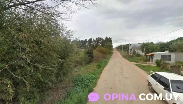 Uñas - 15500 Joaquín Suárez