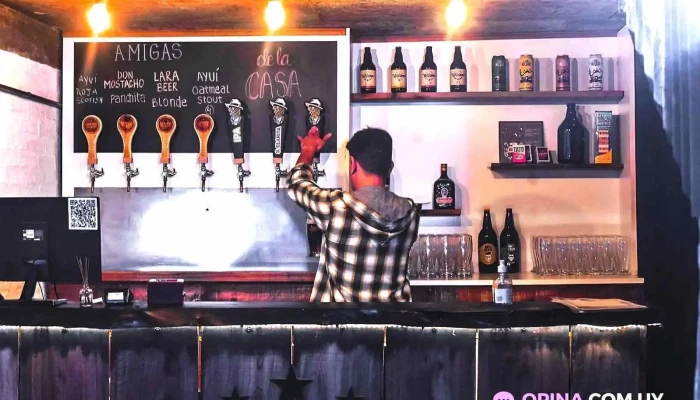 Underground Craft Beer -  Ambiente - Salto