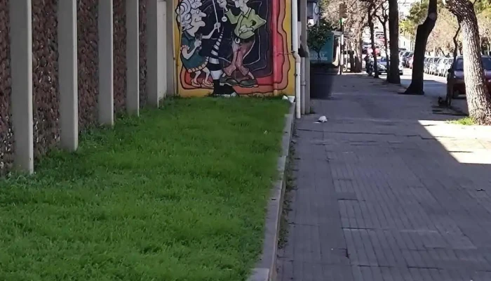 Universidad Catolica Del Uruguay Ciudad De Salto Numero - Salto