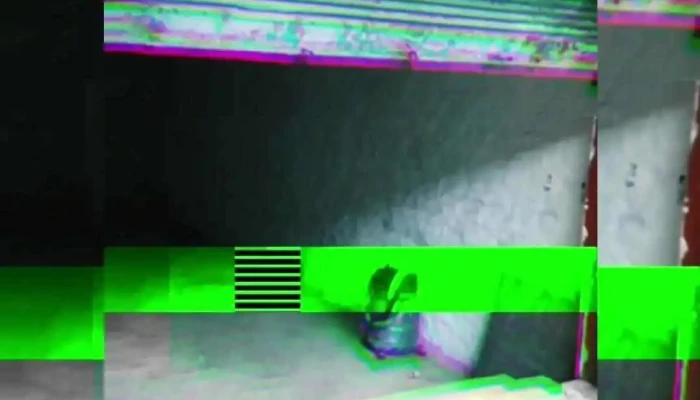 Universo Libros -  Del Propietario - Montevideo