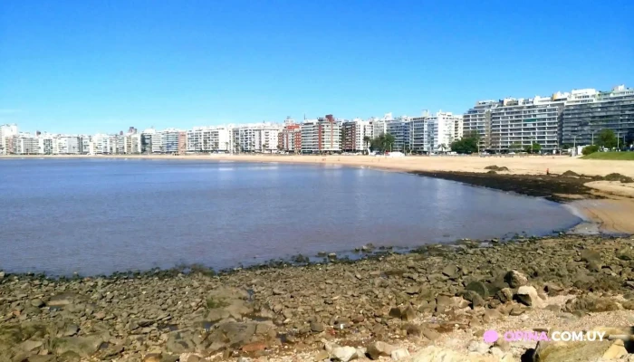 Urban Suites Montevideo -  De Los Visitantes - Montevideo