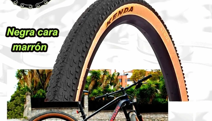 Urubici Accesorios y repuestos de bicicleta - 11600 Montevideo