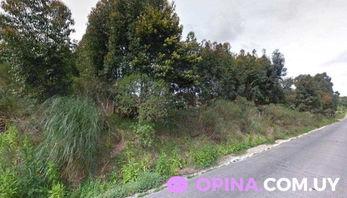 Uruguaw - 12800 Montevideo