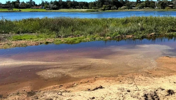 Uruguay Property Partnership -  Descuentos - Punta del Este