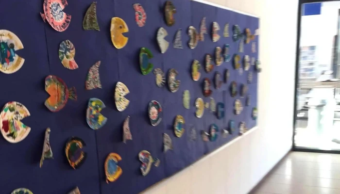 Uruguayan American School -  Como Llegar - Montevideo