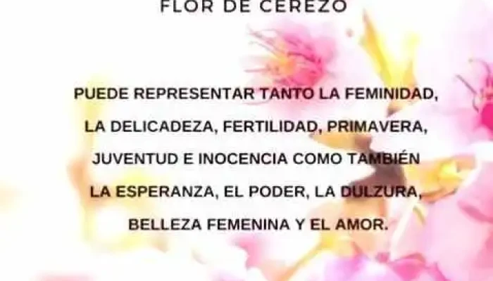 Urumaki Sushi Y Cocina -  Delivery O Takeaway Menu - Col. del Sacramento