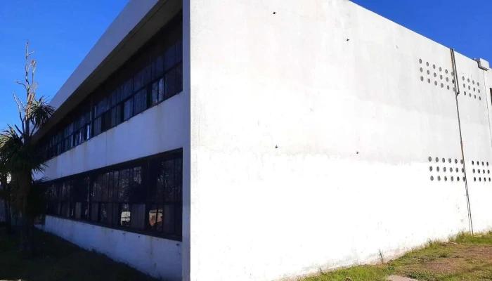 Utu Cerro -  Numero - Montevideo