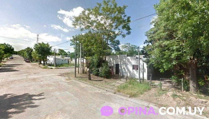 Vacunación Covid-19 - Policlínica de Asse - 65100 Young