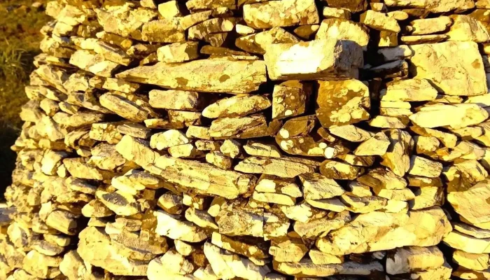 Valle Del Hilo De La Vida -  Comidas Y Bebidas - Minas