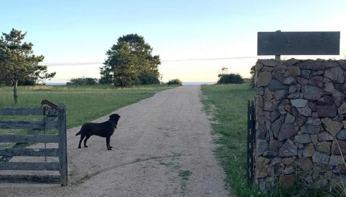 Valle Marino -  Exterior - La Paloma