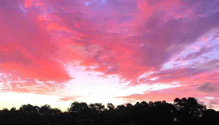 Valle Marino -  Numero - La Paloma