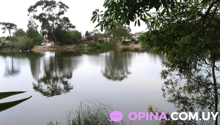 Varela Inmobiliaria Sucursal Lagomar -  Comentarios - Ciudad de la Costa