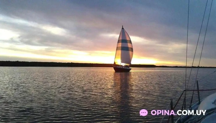 Velas De Puerto Sauce Todo - Juan L. Lacaze